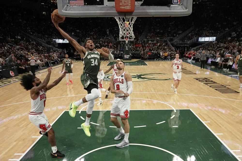 提高观赛体 提高观赛体